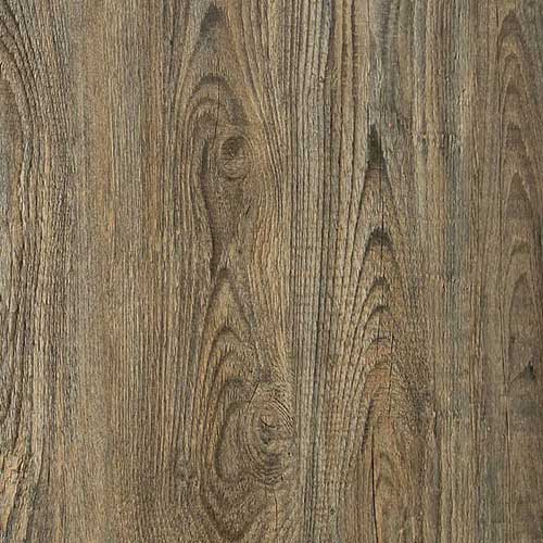 ancient landscape pine wood texture