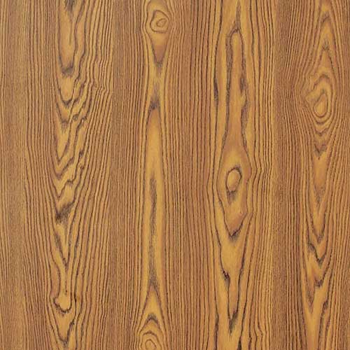 antique elm wood texture