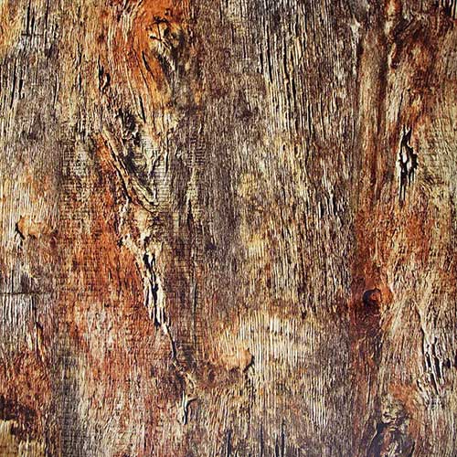 antique olive wood texture