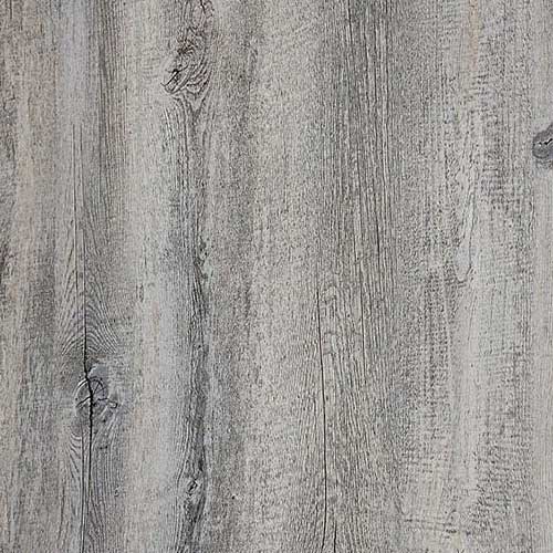 antique style ginkgo wood texture